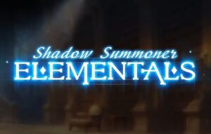 Shadow Summoner Elementals