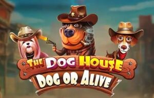 The Dog House – Dog or Alive