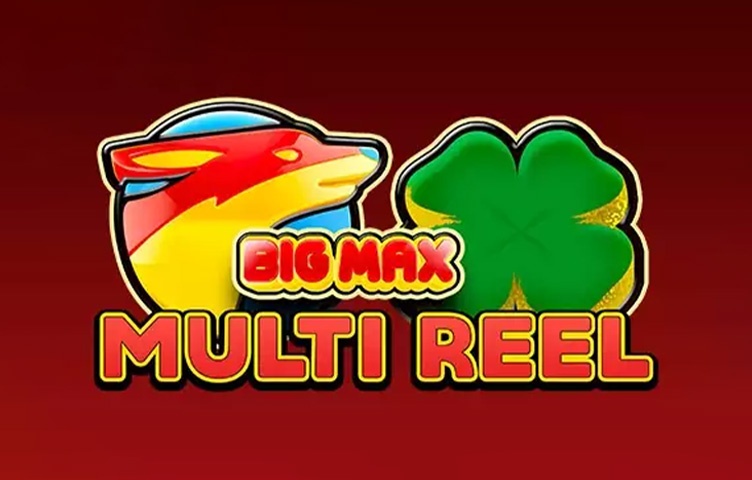 Big Max Multi Reel