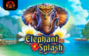 Elephant Splash
