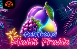 Amigo Multifruits