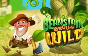 Beanstalk Grows Wild