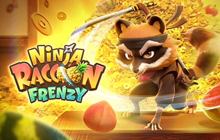 Ninja Raccoon Frenzy