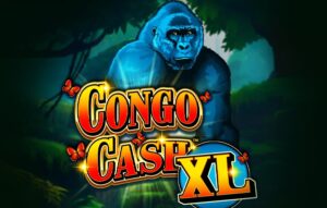 Congo Cash XL