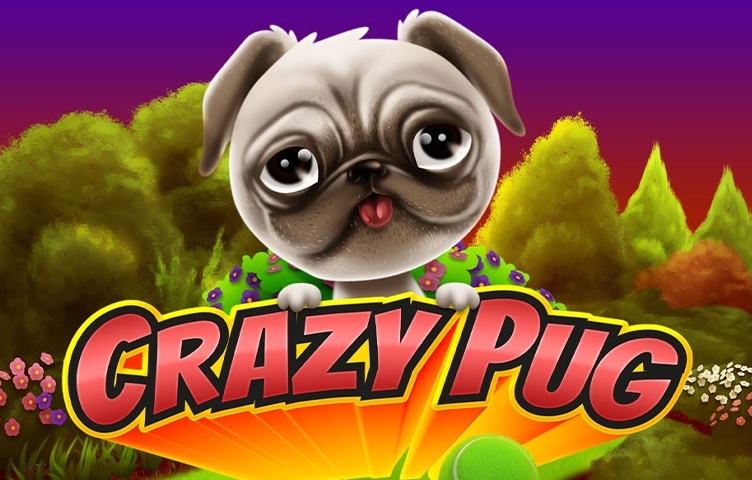 Crazy Pug