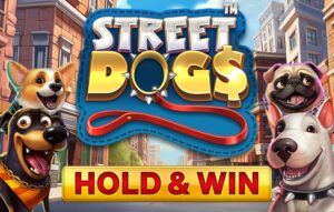Street Dogs – Hold & Win