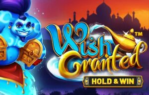 Wish Granted
