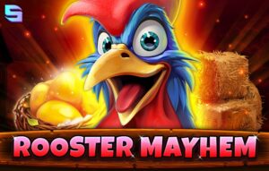 Rooster Mayhem