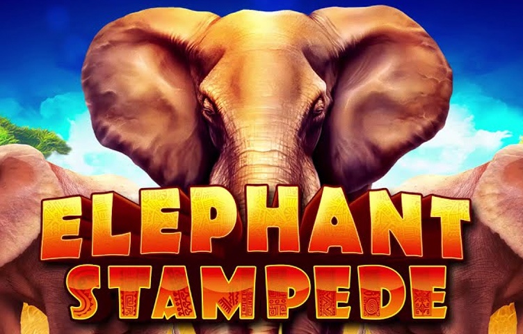 Elephant Stampede