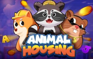 Animal Housing